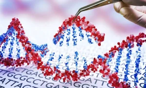 CRISPR: az extra kromoszóma eltávolítása Down-szindrómás sejtekből